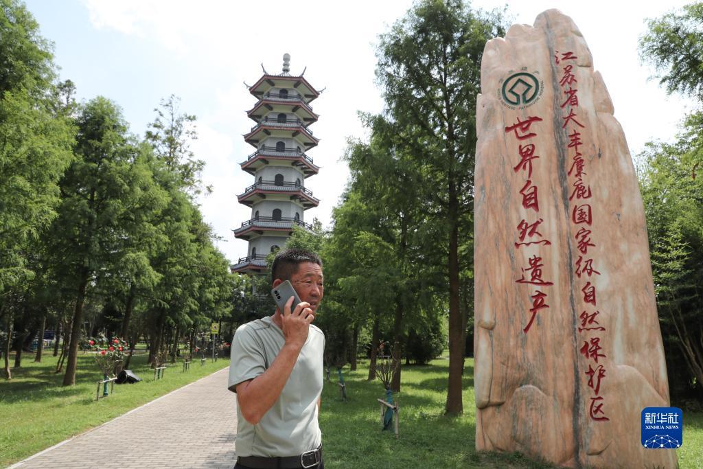捉鱼游戏网